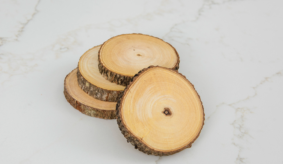 Acacia and Bark Coasters Set of 4 (1034) 